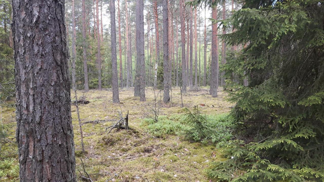 Апартаменти Bakusiowy Zakatek Lipowo Kurkowskie Екстер'єр фото